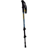 Палки треккинговые TALBERG EXPEDITION POLE (1 пара, синий) TLP-202 SINII